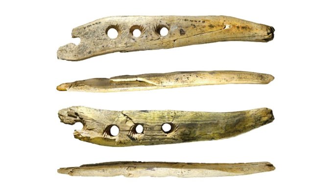 A carved ivory tusk with holes along its length, seen from four different angles