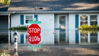 A photograph of a flooded street in Conway, South Carolina.