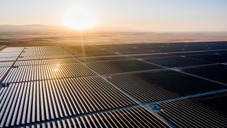 an aerial photo showing a solar farm. There are rows and rows of solar panels grouped into squares as far as the image stretches. The sun is low in the sky.