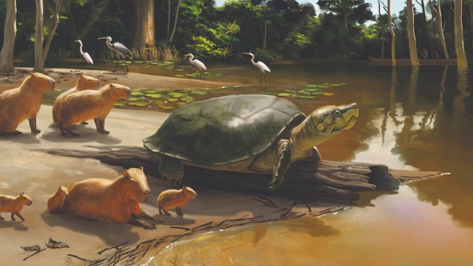 A giant turtle sits on a log at the water's edge, surrounded by some mammals and birds.