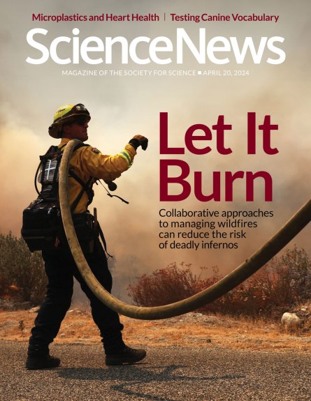 Cover of the April 20, 2024 issue of Science News