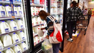 two people shop for milk in a grocery store dairy aisle. A cooler with gallons of white milk with blue labels and lids is in one cooler. The second cooler's door is open. It is lined with milk with red labels and lids. A person with shoulder length brown hair wearing a blue surgical mask and blue, white and black striped fuzzy sweater pulls a gallon of milk with a red lid out of a cooler. They have a white cloth bag with large red dots over their shoulder. A couple of coolers down a person with dark hair wearing a black and white plaid shirt looks over their choices. The photo was taken in 2022. Now people are worried about bird flu fragments showing up in cow milk.