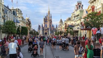 a crowd at Disney World