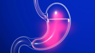 A balloon-like illustration of a stomach, shown in pink on a royal blue background.