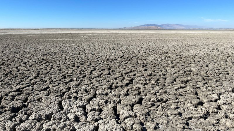 A photo of the Great Salt Lake with the dried gray ground and a bright blue sky in the background.