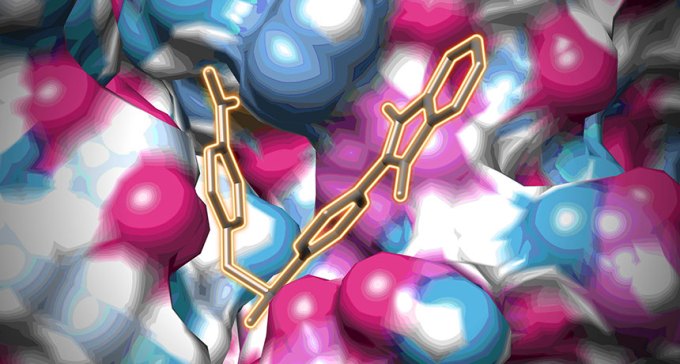 chemical compound binding to enterovirus pocket