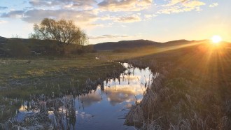 stream in Idaho