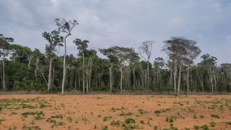 A photo of a dusty barren ground with the tree line seen in the middle distance.