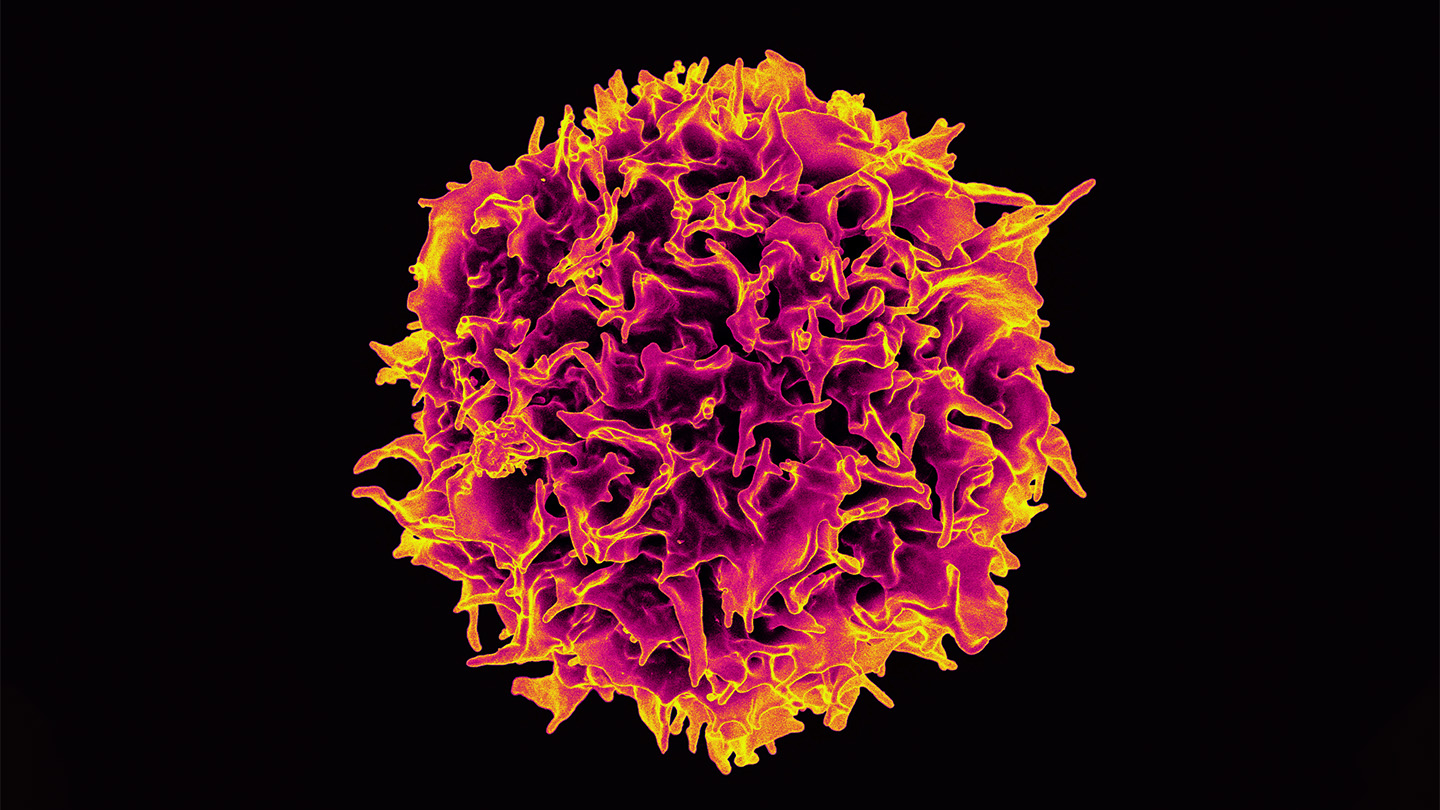 An image of a T cell on a black background