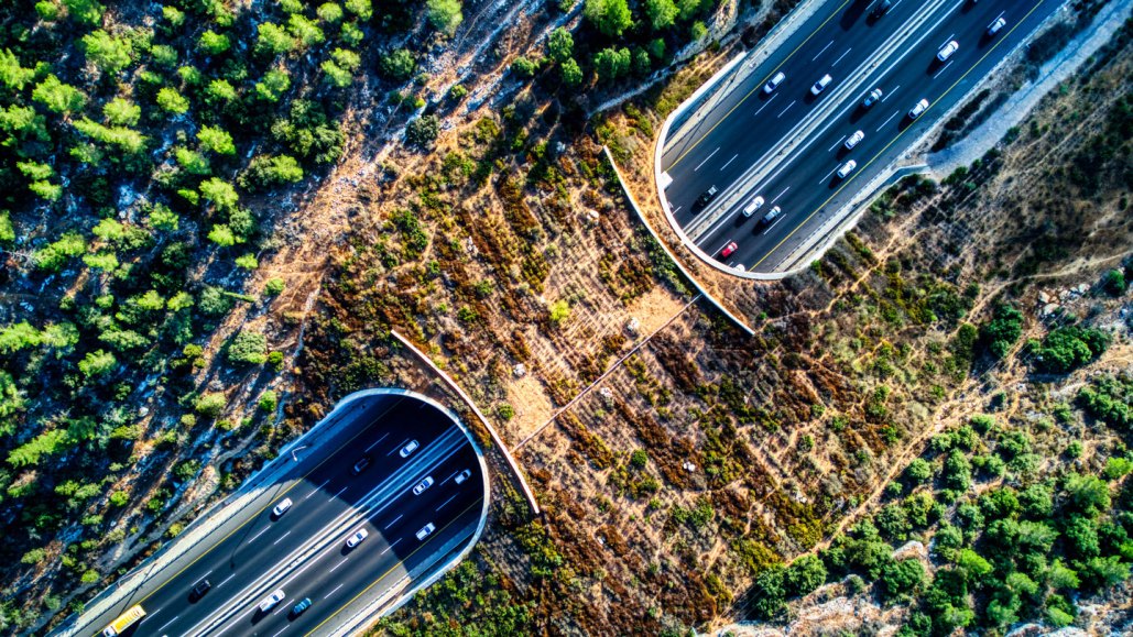 Photo of a wildlife crossing in Israel