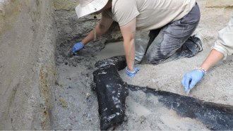 A photo of an person on their hands and knees digging into the ground.