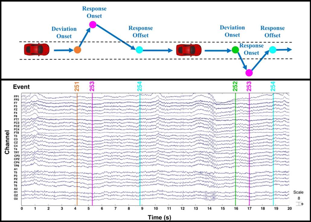 an EEG readout shows reactions during swerving events