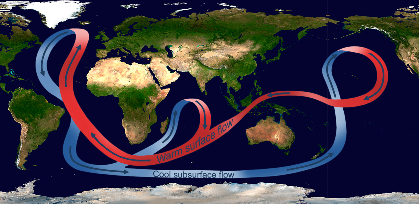 illustration of the great ocean conveyor belt