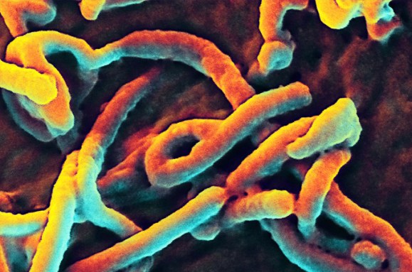 Ebola