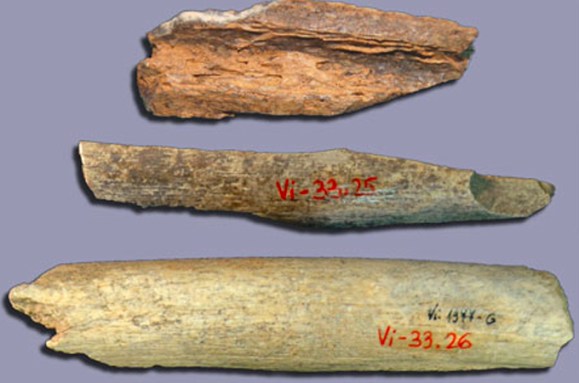 fragments of Neandertal bones