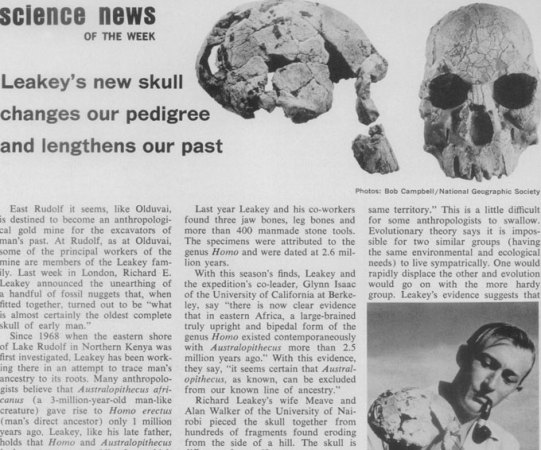 SN coverage of Leakey find