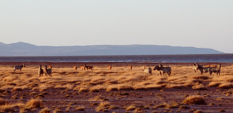 East Turkana Pic