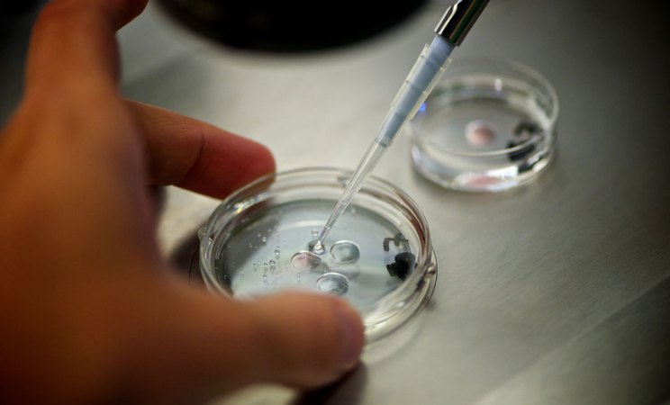 a pipette in a petrii dish held by a hand