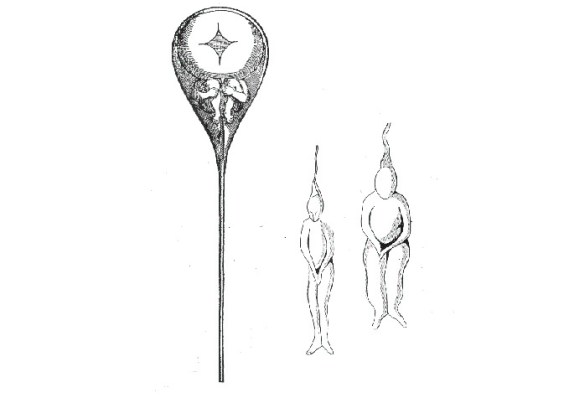 illustration of tiny figures inside an illustration of sperm