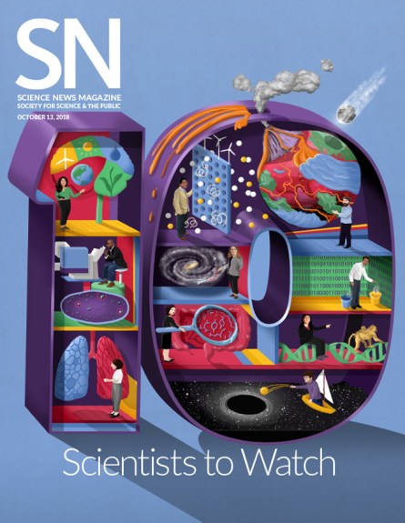 SN 10 cover