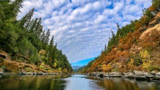 The Rogue River with trees and rocks on either side.