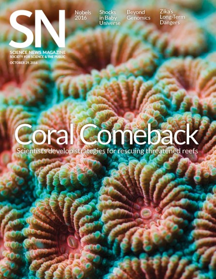 Coral cover