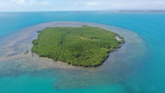 An aerial photo of an island with mangroves visible in a bright blue body of water.