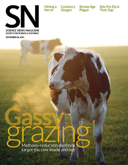 cover of Nov. 28, 2015 Science News