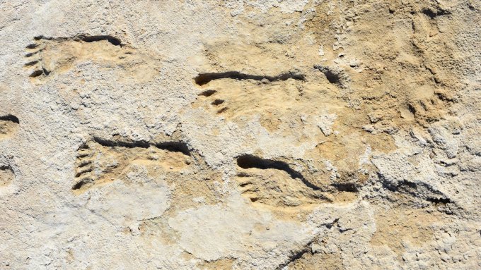 a photo of human footprints in rock