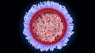 an illustration of a COVID-19 mRNA vaccine