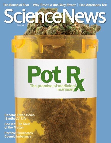 Pot Rx: The promise of medicinal marijuana