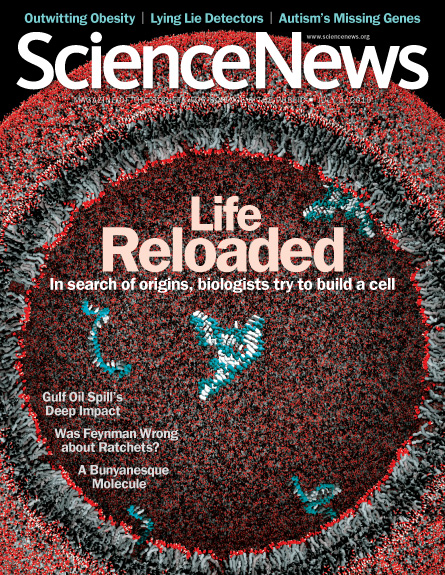 Life Reloaded: In search of origins, biologists try to build a cell