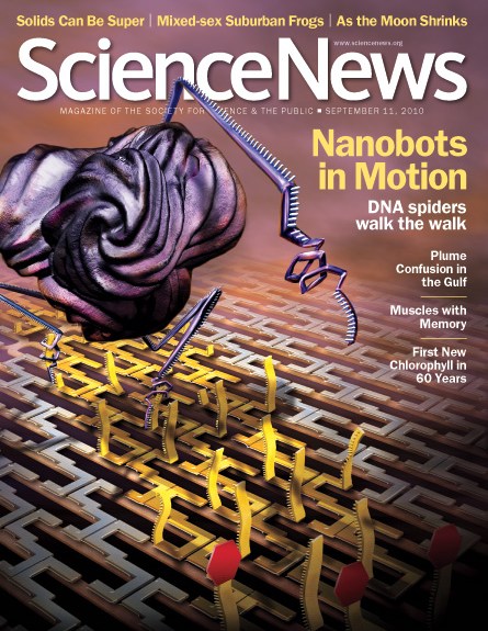 Nanobots in Motion: DNA Spiders Walk the Walk