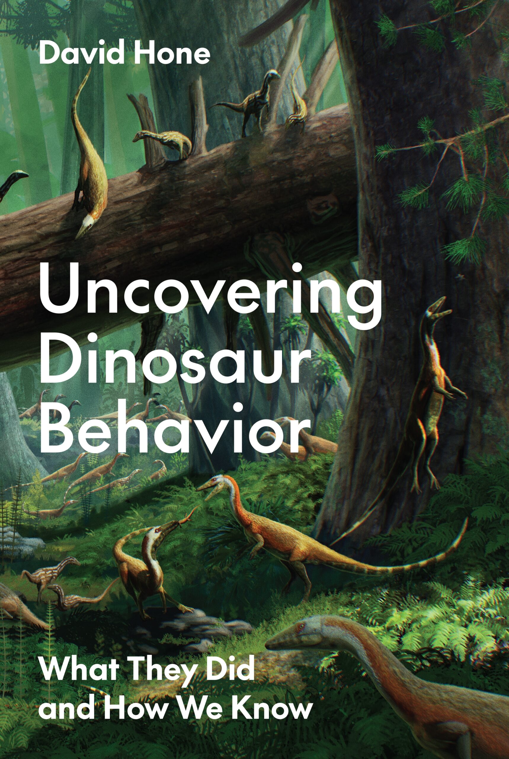 The cover of a book with dinosaurs on it. 