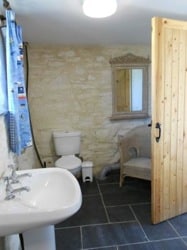 glamping-cornwall-with-hot-tub-tremeer-farm-bathroom-s