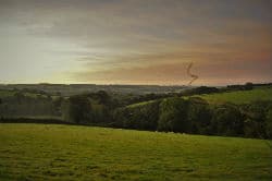 glamping-devon-oak-tree-lane-countryside-kite