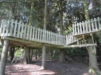 glamping-hampshire-cedar-valley-treehouse