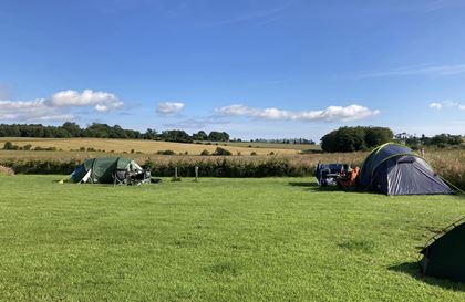 grass tent pitches