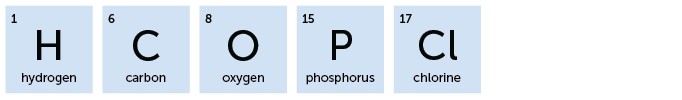 1, H, Hydrogen; 6, C, Carbon; 8, O, Oxygen; 15, P, Phosphorus; 17, Cl, Chlorine